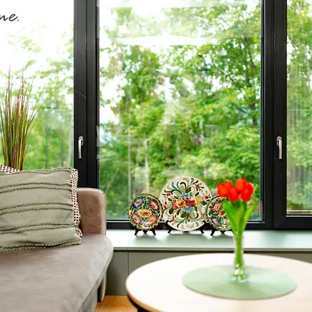 Wonder - Orlik - Blisko Arena, Kosciolka Wang I Szlakow アパート カルパッチ