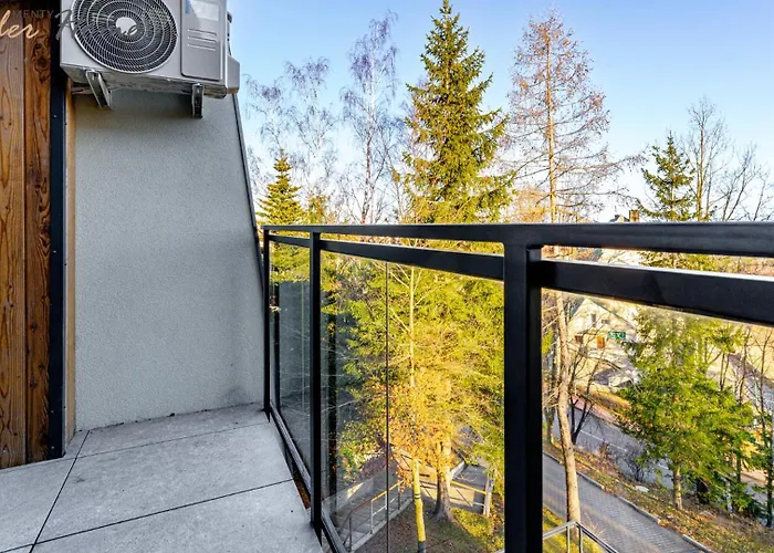 Wonder - Orlik - Blisko Arena, Kosciolka Wang I Szlakow *